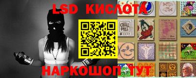PSILOCYBIN Бугуруслан