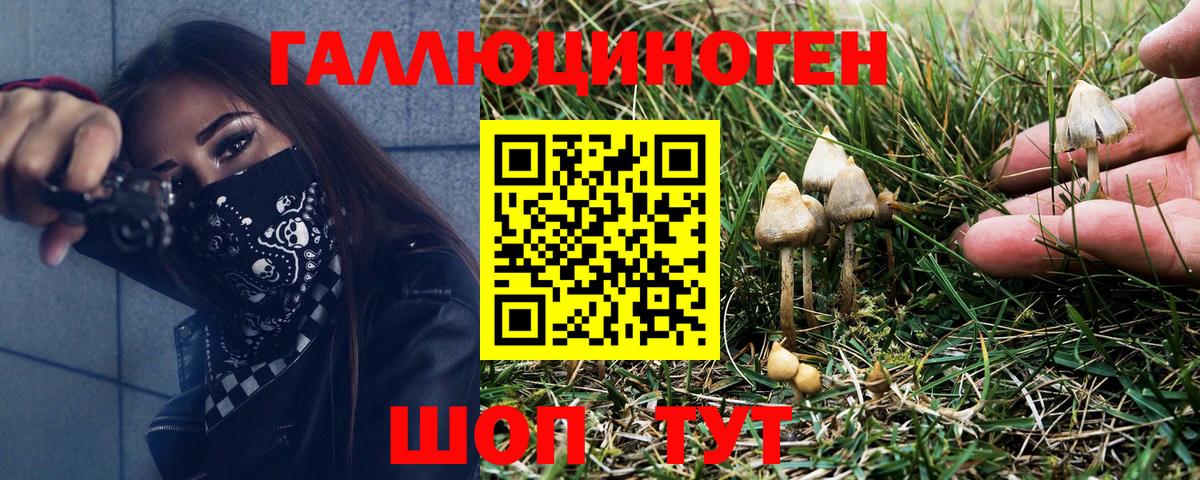 Острогожск  Псилоцибиновые грибы прущие грибы  Вход с VPN 